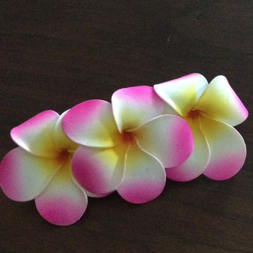 3 for 10🍀Hair clip
